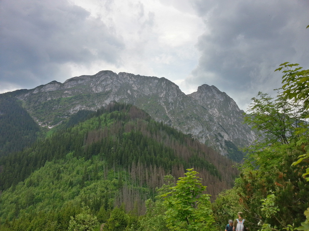 02.15 - 20180531_124921_HDR (VdL)