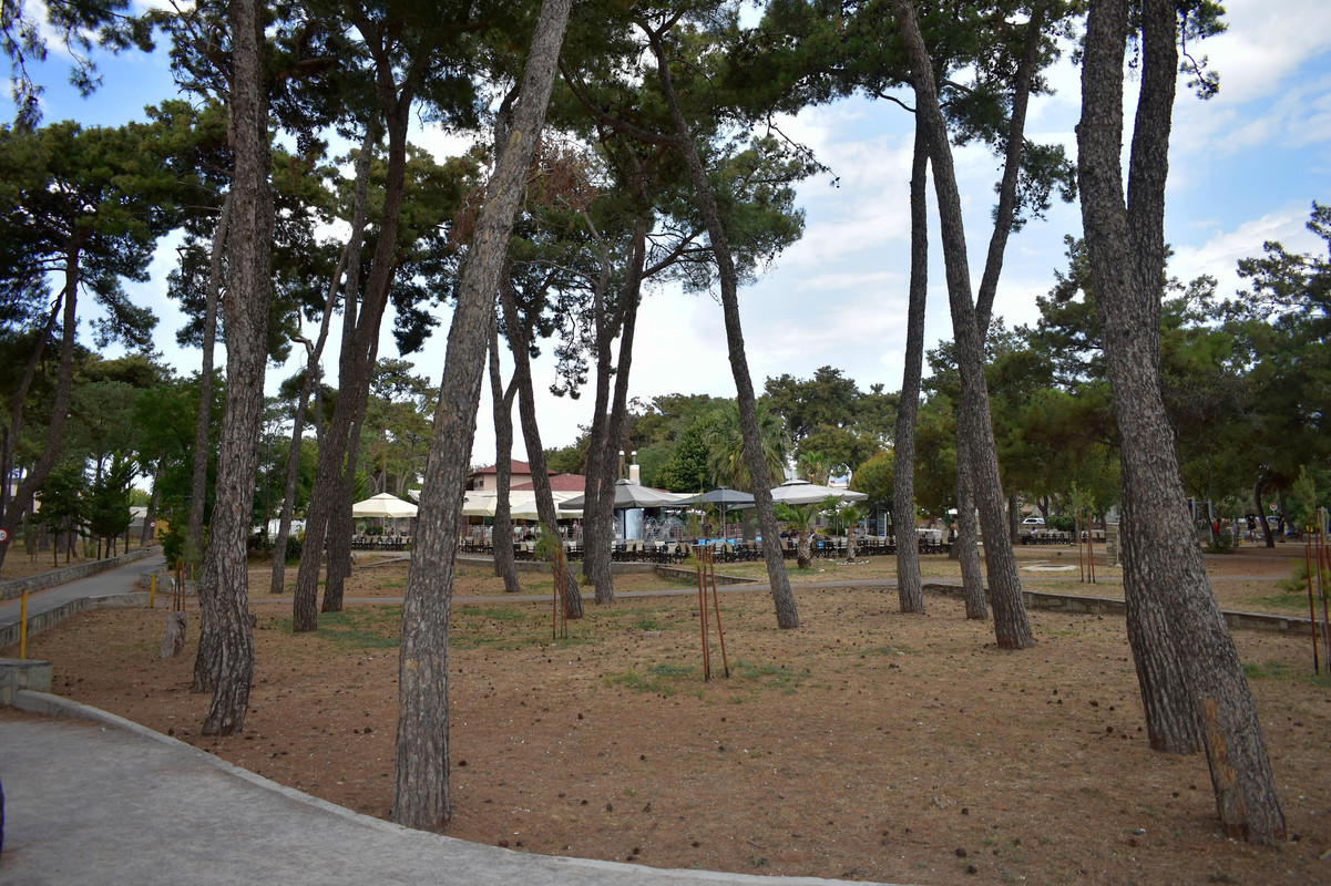 Αλεξανδρούπολη (9)