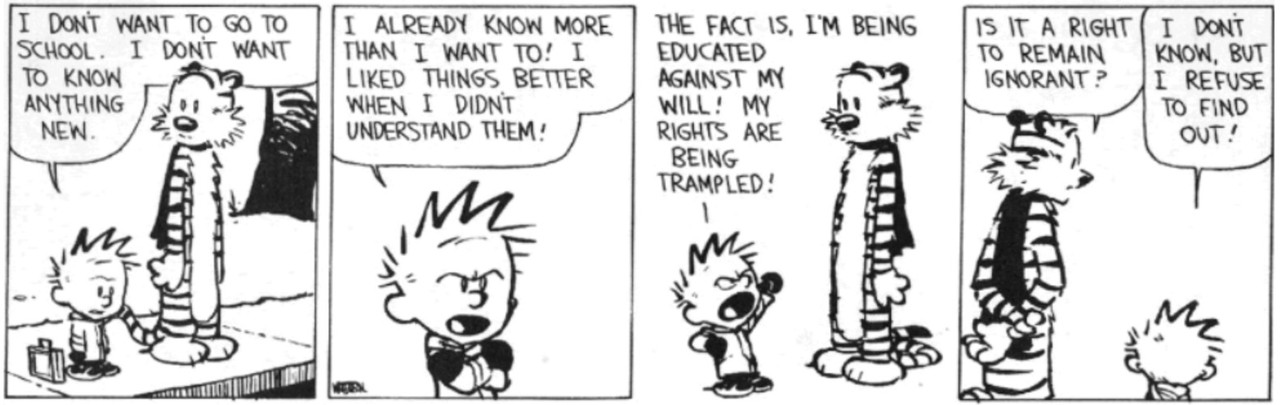 calvinhobbes1.jpg