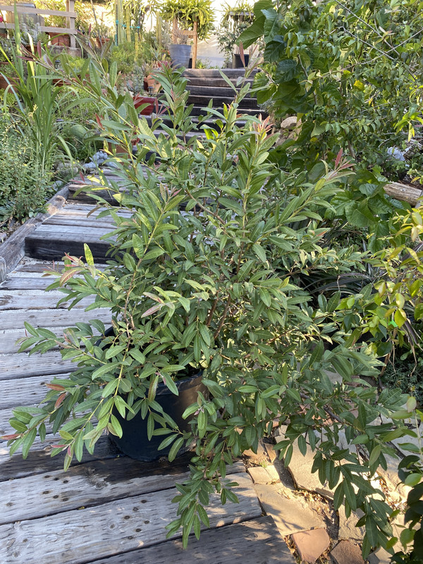 C1E0D8FB-695E-45FA-99DD-640C8D4324BD