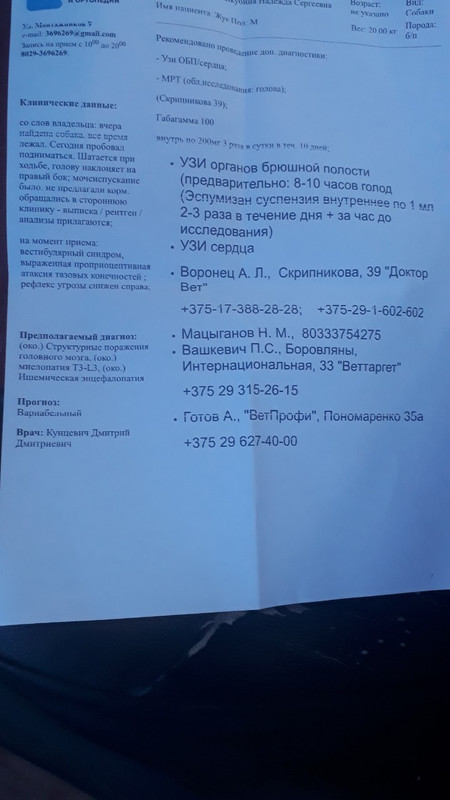 изображение_viber_2020-09-17_19-50-47