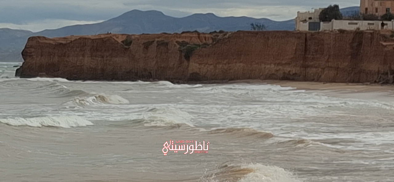 20260212-132909-00-00-51-20-Still007