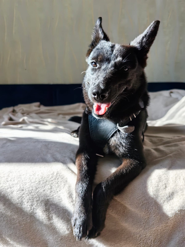 Изображение WhatsApp 2024-06-14 в 14.37.15_5fc799b7