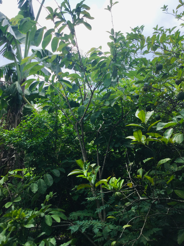 BFB44705-C6EE-4579-ABBC-3C3AC7CDA89E