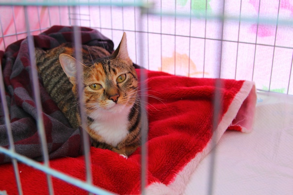 72D8D606-AD36-48A0-9772-F0EC667C9470