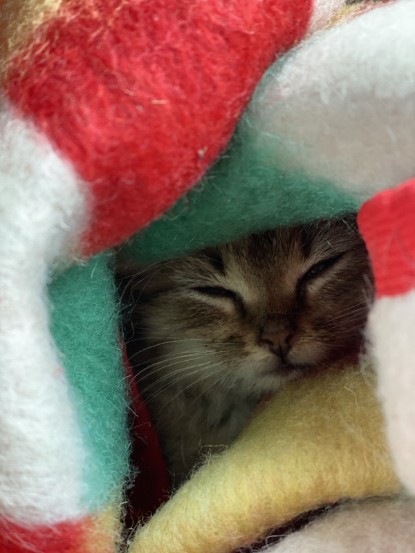 2A269C65-BFB5-43A4-90F9-B78CAD436082