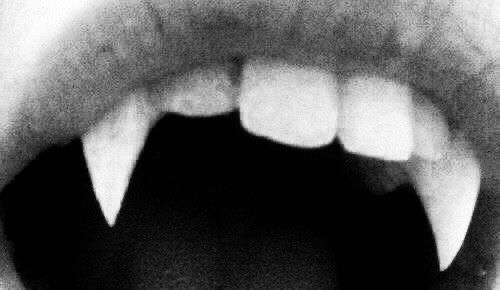 rowan whitethorn throne of glass