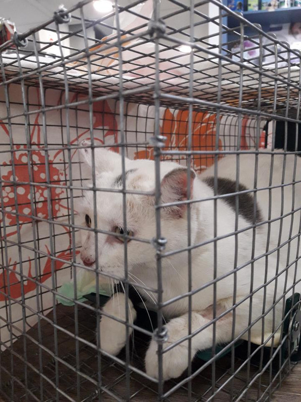 IMG-ffdbf7a079801f989446adb9ad9f465b-V