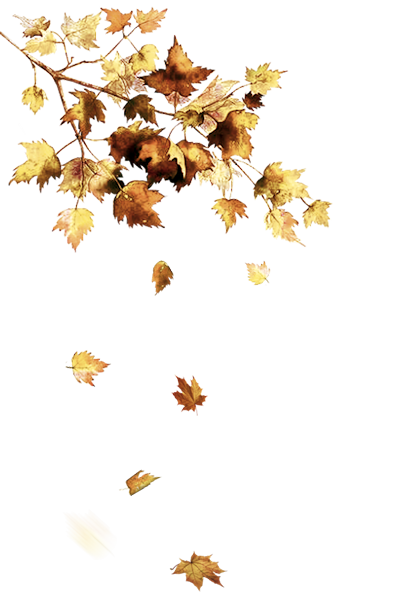 TADD_elements_AutumnFairyTales (77)
