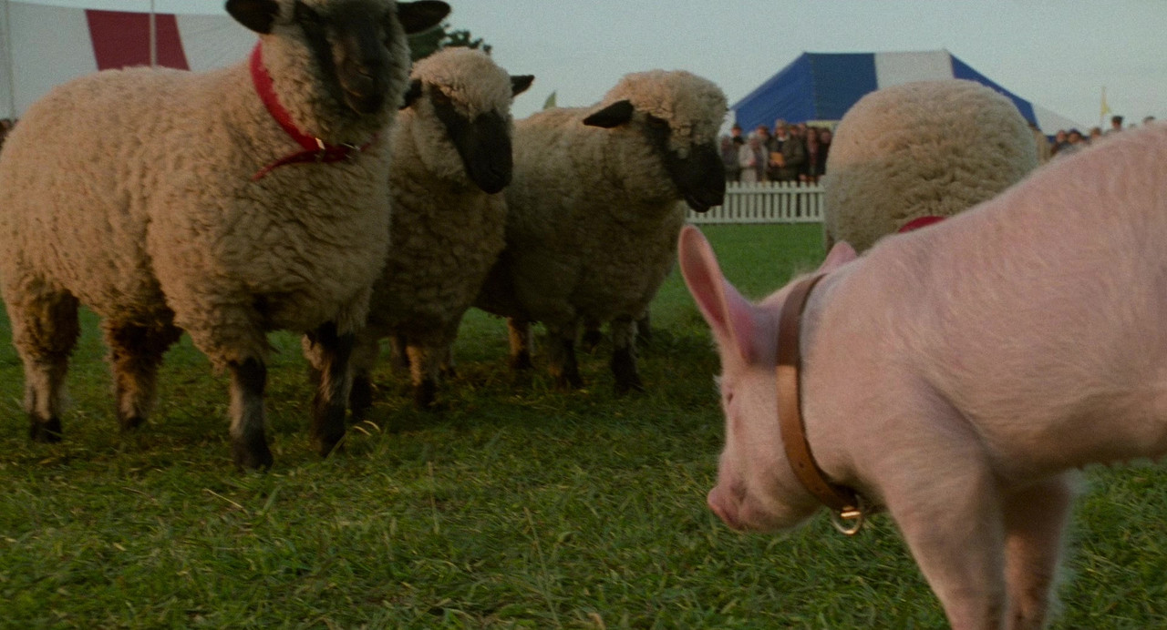 vlcsnap 2026 03 28 17h51m52s525