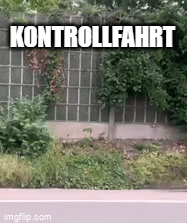 IMG-0022.gif