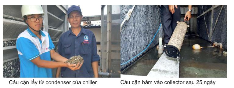 xử lý cáu cặn chiller
