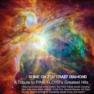 Shine On You Crazy Diamond - A Tribute To Pink Floyd's Greatest Hits (2018) .mp3 - 320 kbps