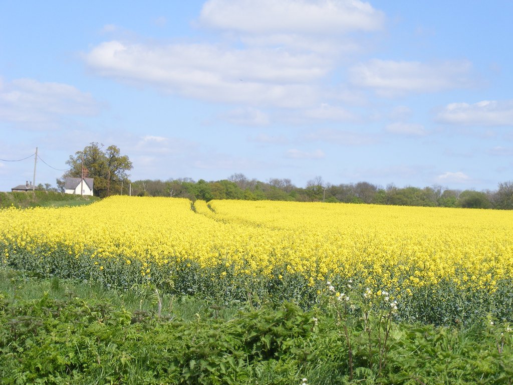 DSCF0796.jpg