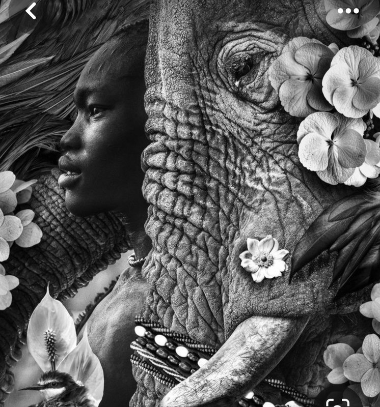 Screenshot_20231209_122155_Pinterest