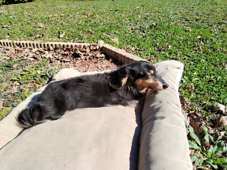 [Image: image000000-258.jpg]