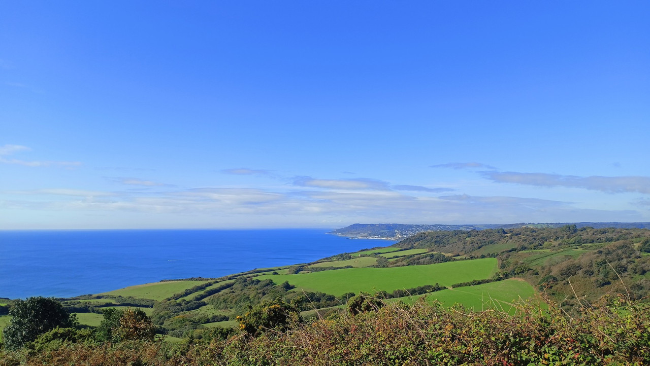 IMG20250924110832 (Large)