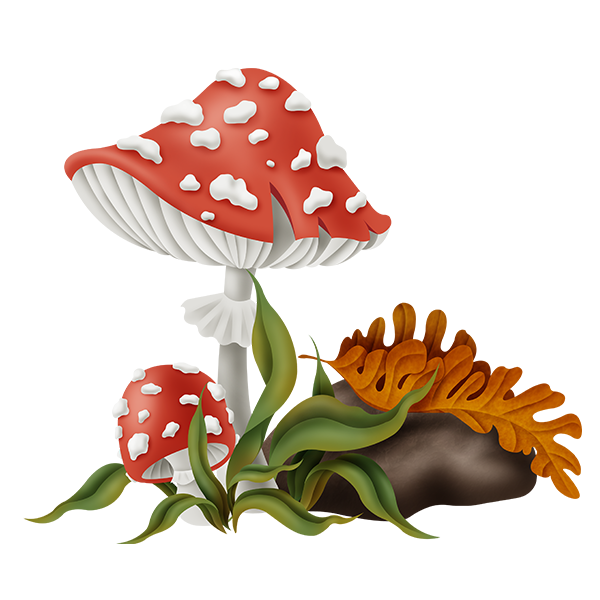 KBK_ForestSchool (26)