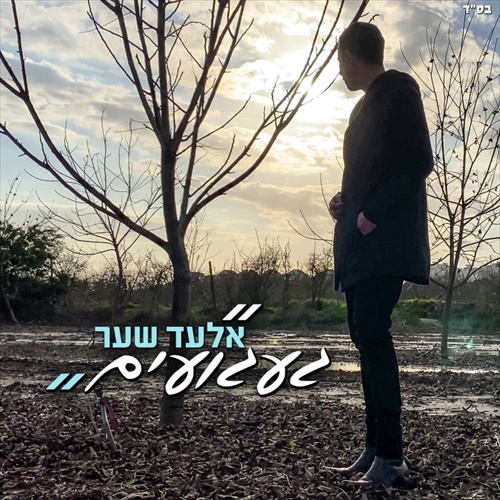 תמונה