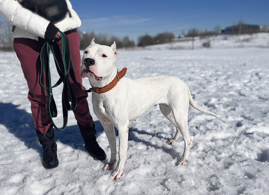 8B8CEF5C-C76C-4DD7-A30B-474DBC9CA243