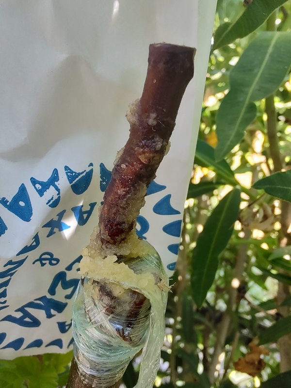 IMG_20230729_100442231_HDR