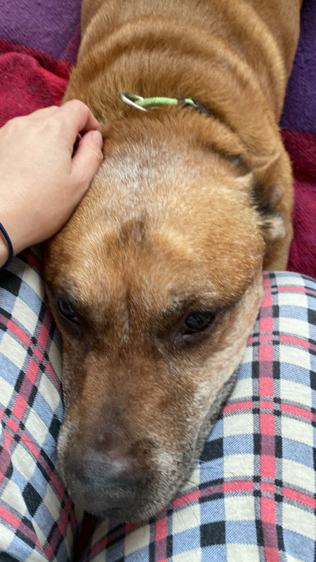 A805E868-ED22-4C9B-86F1-E12D30A56B42