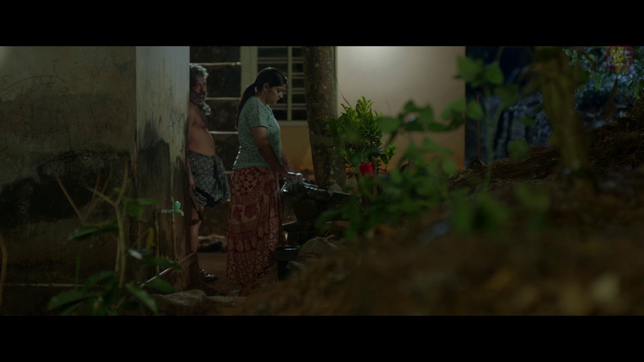 vlcsnap 2026 02 11 15h59m47s182