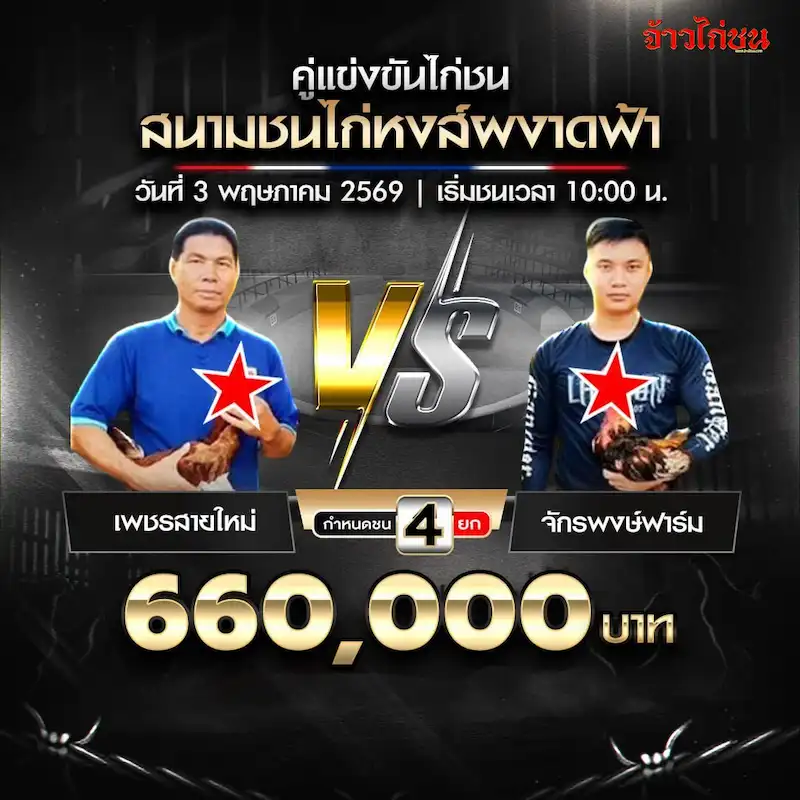 โปรแกรมไก่ชน สนามชนไก่หงส์ผงาดฟ้า วันที่ 3 พฤษภาคม 2569 เพชรสายใหม่ พบ จักรพงษ์ฟาร์ม