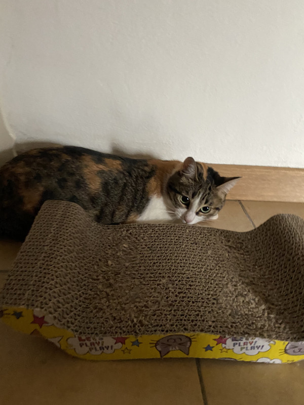 4B5A424B-F87E-4B83-BCE1-84FB7243451A