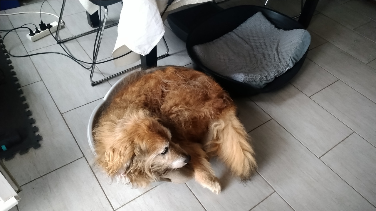 [Image: DSC-0765.jpg]