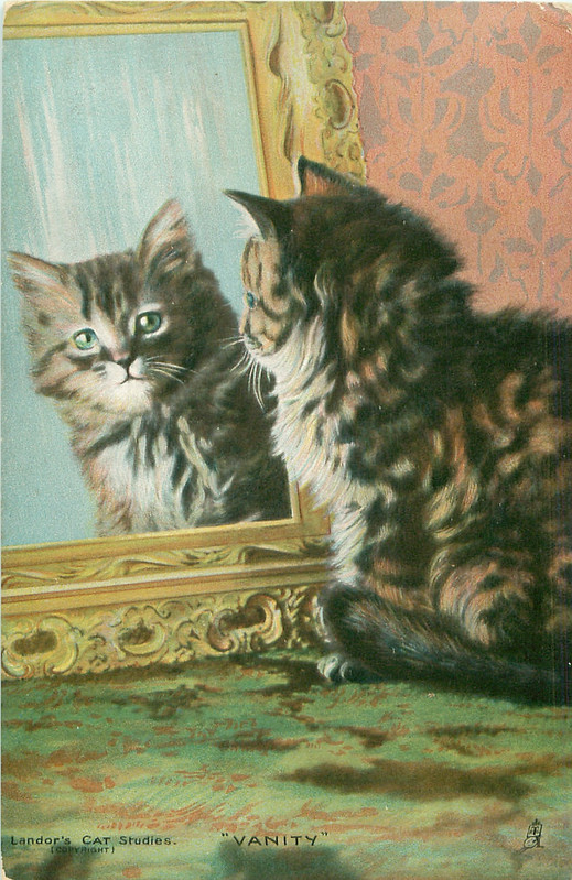 18-2011-06-15-17-38-26