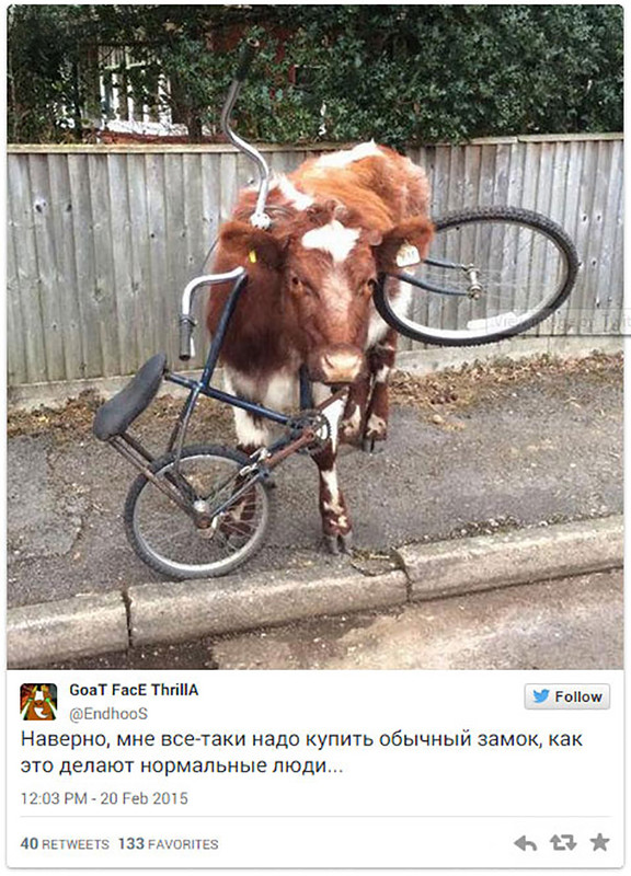 15 твитов, которые гарантировано сделают ваше настроение лучше