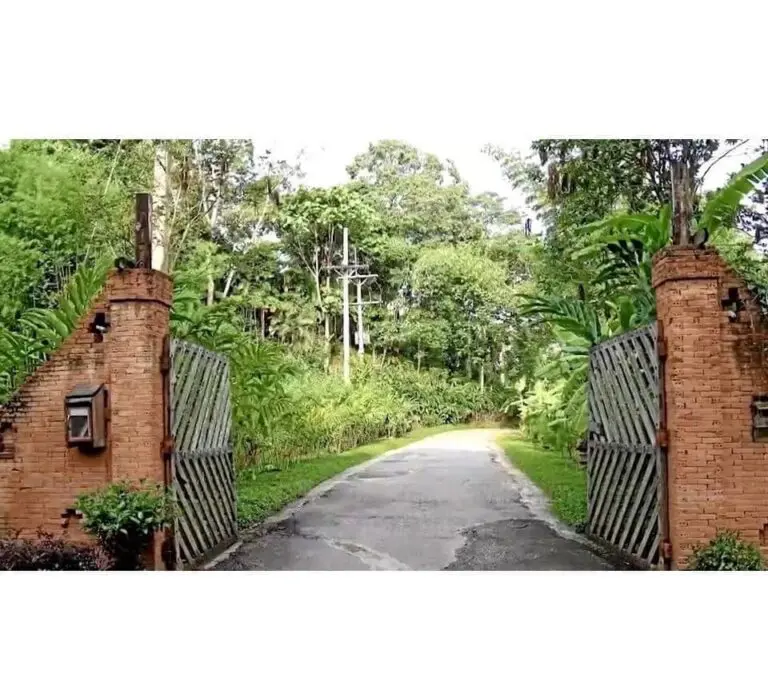 Namtuam-6-768x686-jpg