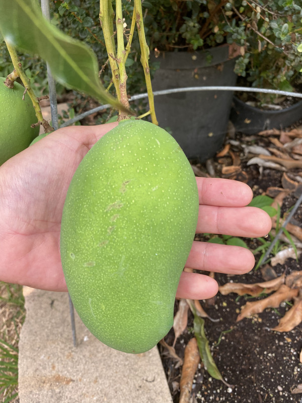 2423DCA3-B954-4634-8033-C52BB457F903