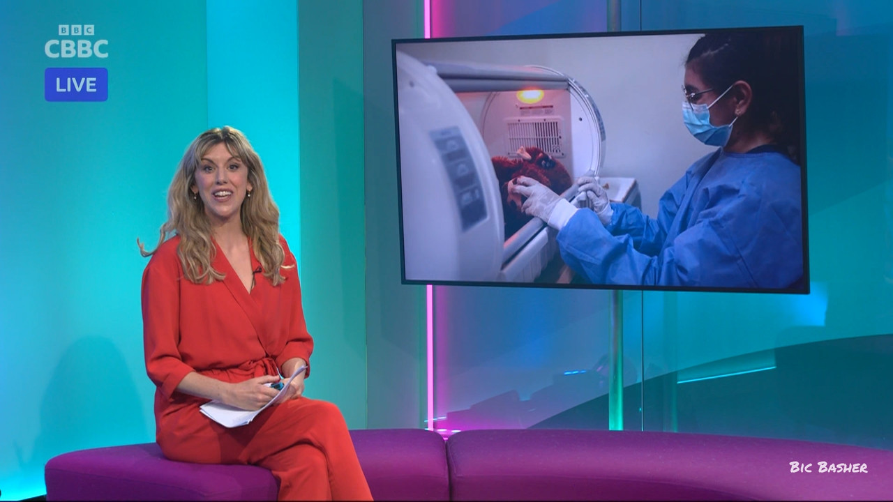 Newsround 20260727 07450755 ts snapshot 13 59 086