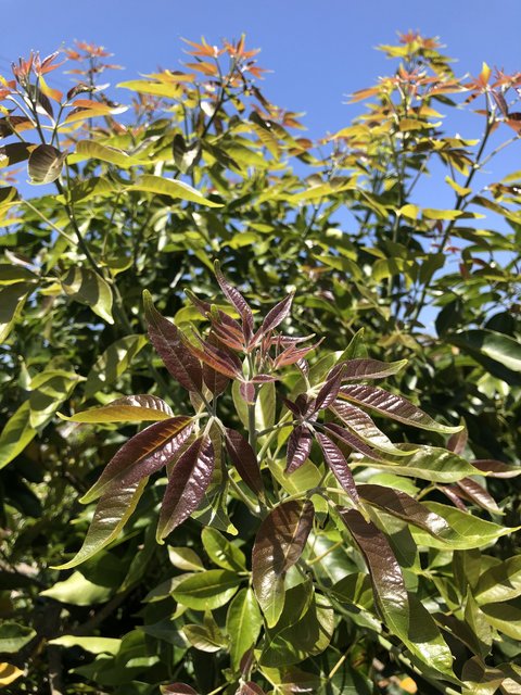 18AF856C-D641-4D6E-9E5E-DF2890EF3AE9