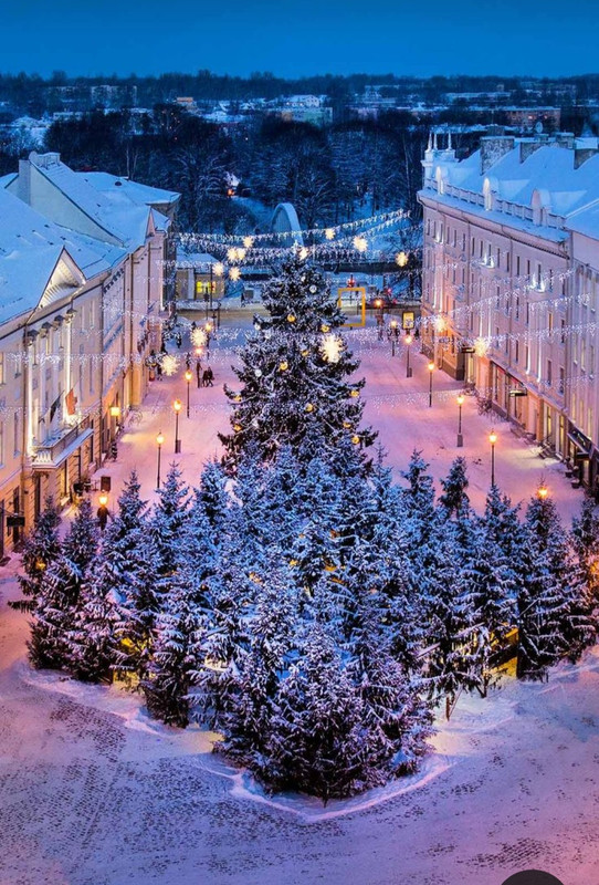 Screenshot_20240113_143811_Pinterest