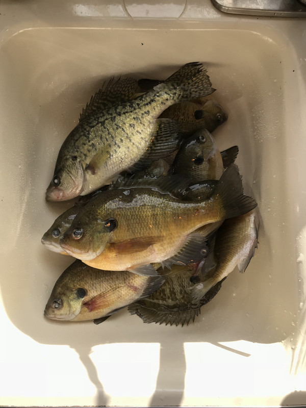 847DD7A5-365A-4096-8A99-F71513A8CDC5