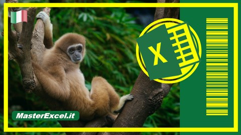 Corso di Excel e VBA: Codici a Barre e Automazione