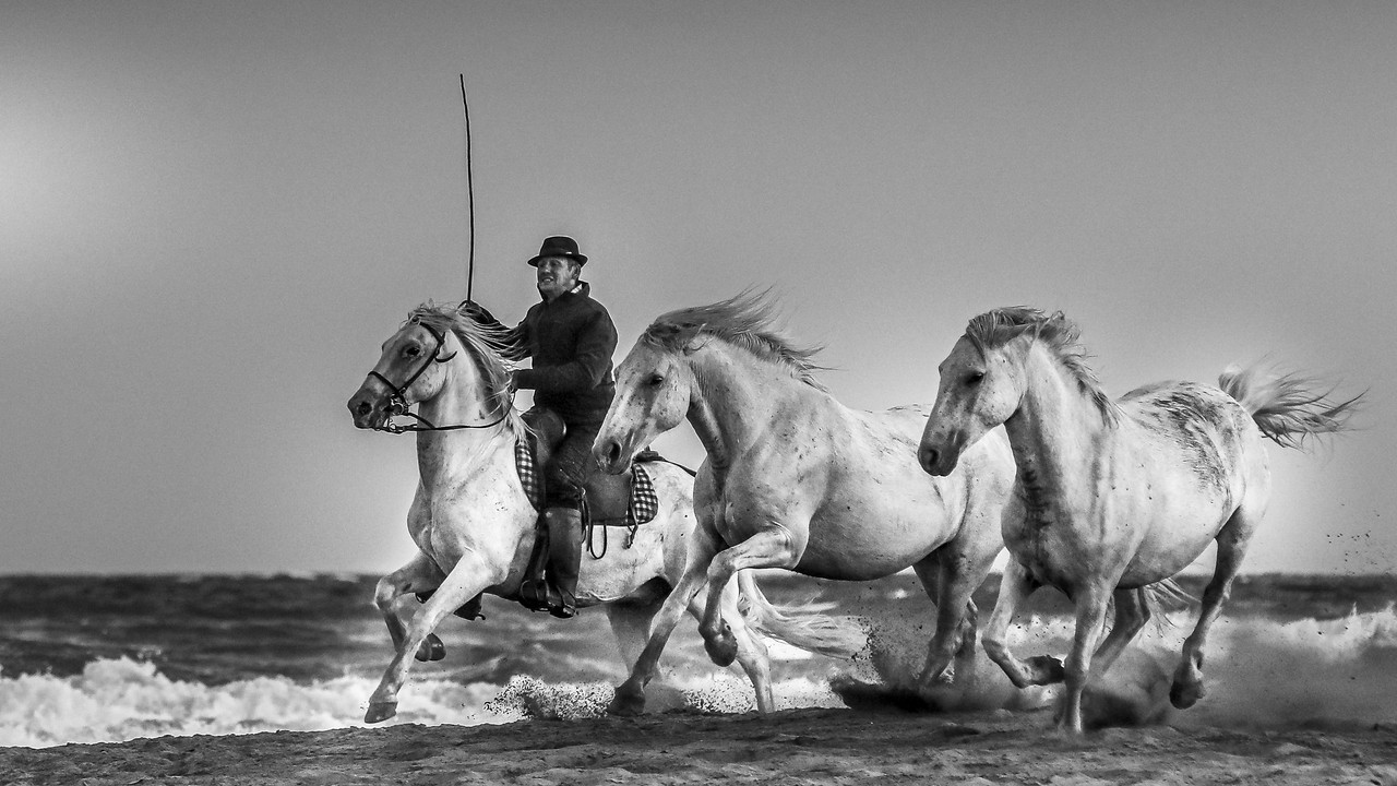 blacknwhitehorseriderbeach.jpg