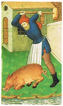 17187810703850.jpg