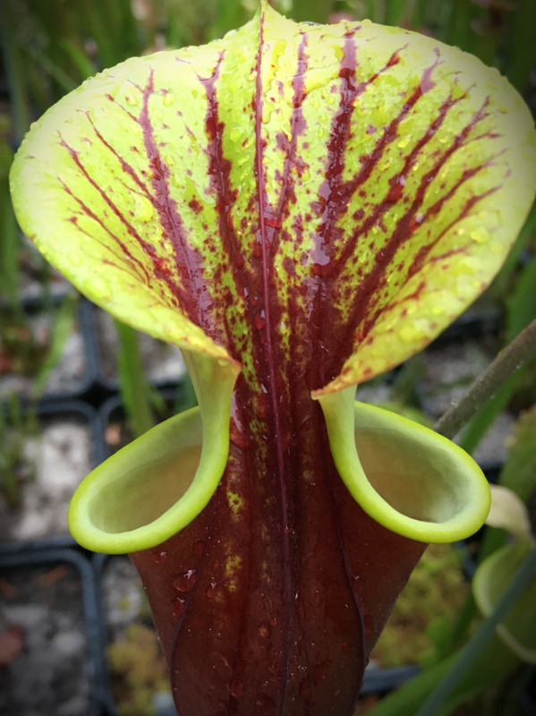 D6D8A407-6466-48F9-8FA0-EA4A048BFFF7