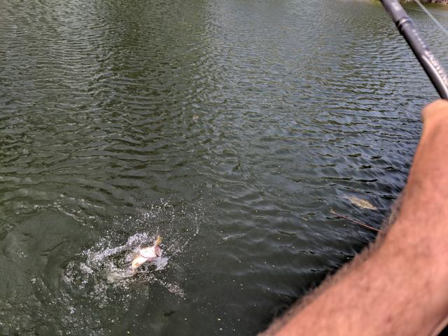 https://i.postimg.cc/jSHGvjjS/IMG-20190603-104304.jpg