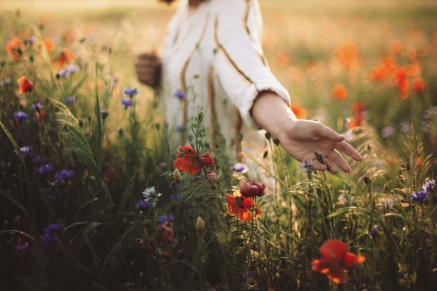 An den Beitrag angehängtes Bild: https://i.postimg.cc/jSHLSY54/Woman-Hand-Field-Flowers.jpg