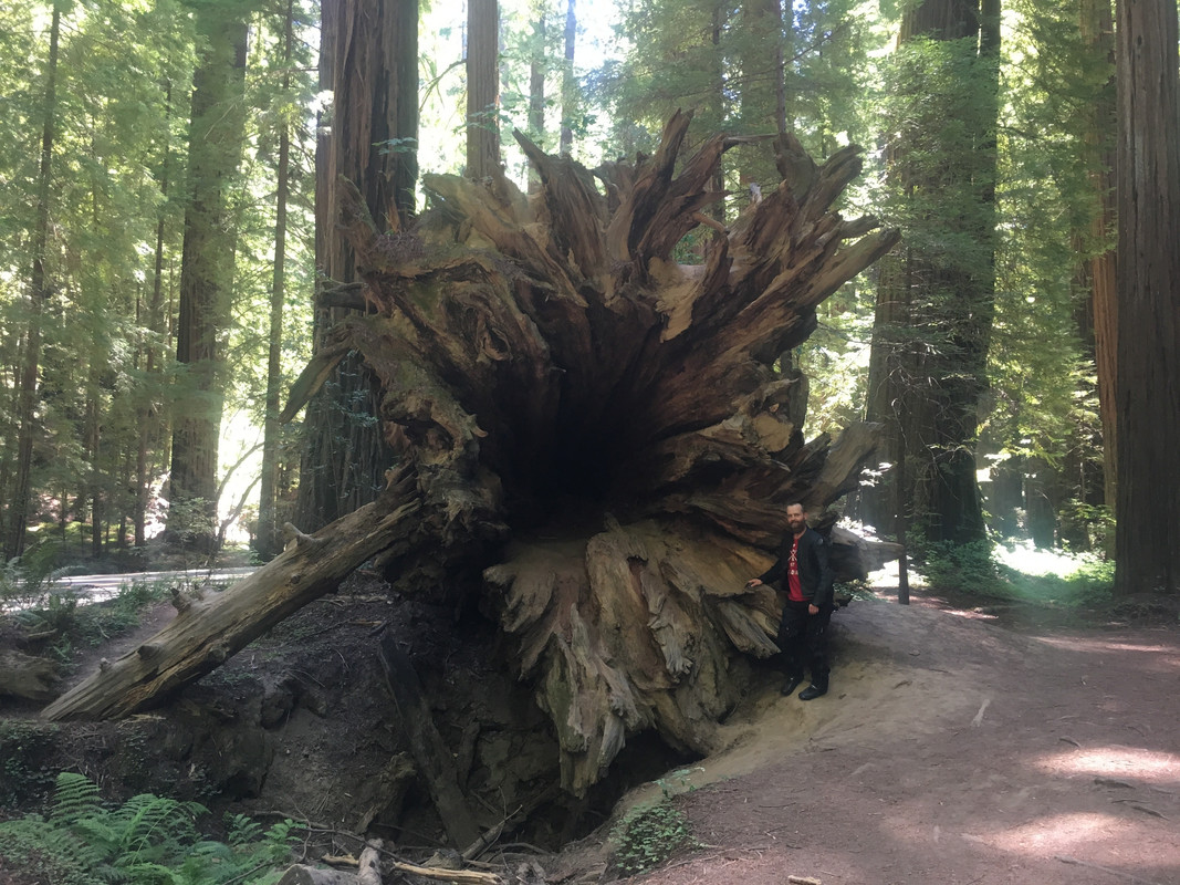 01E06E53-97A0-40C0-B1BD-38A2954063BD