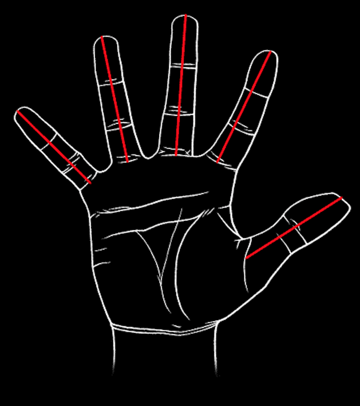 Image of hand with measurement lines