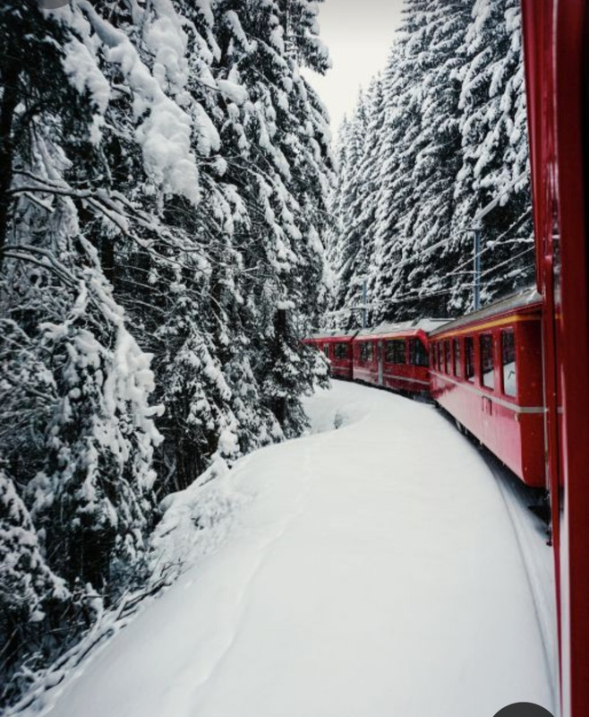 Screenshot_20240110_214625_Pinterest