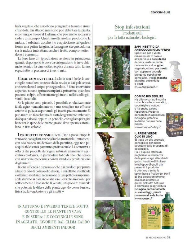 Il Mio Giar Ott-Nov 2024 (8)