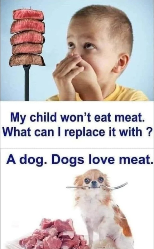 1048543-1722897832699.png