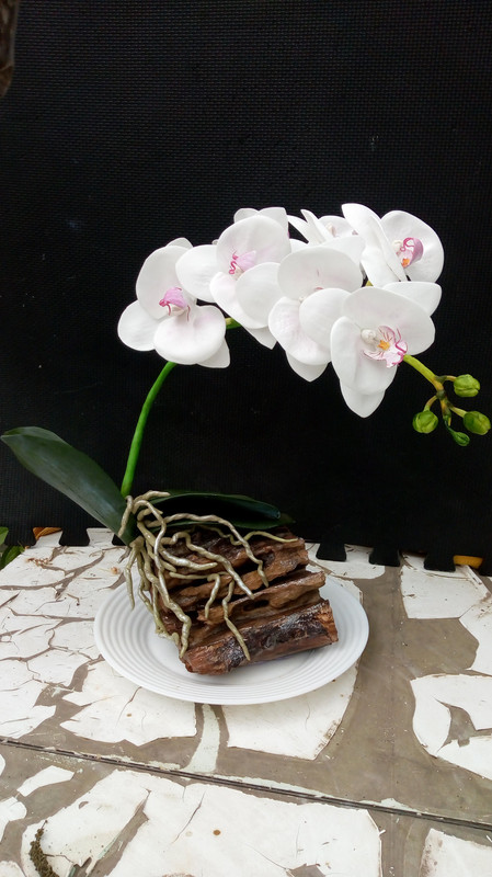 IMG-d0f2b231e55124877271a407c727a1c6-V